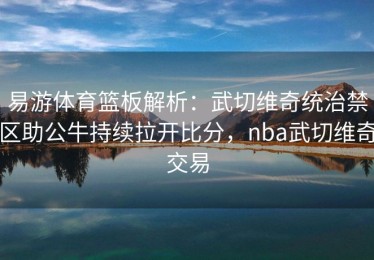易游体育篮板解析：武切维奇统治禁区助公牛持续拉开比分，nba武切维奇交易