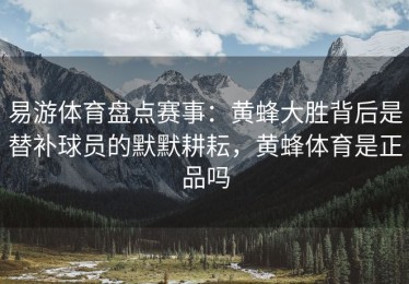 易游体育盘点赛事：黄蜂大胜背后是替补球员的默默耕耘，黄蜂体育是正品吗