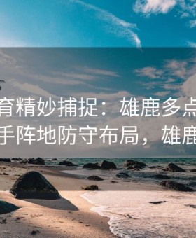 易游体育精妙捕捉：雄鹿多点进攻摧毁对手阵地防守布局，雄鹿伤势