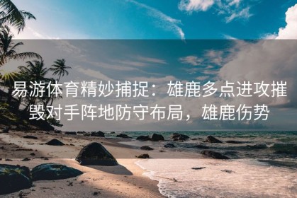 易游体育精妙捕捉：雄鹿多点进攻摧毁对手阵地防守布局，雄鹿伤势