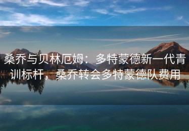 桑乔与贝林厄姆：多特蒙德新一代青训标杆，桑乔转会多特蒙德队费用