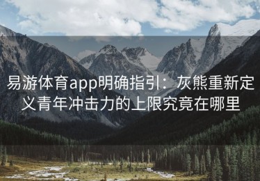 易游体育app明确指引：灰熊重新定义青年冲击力的上限究竟在哪里