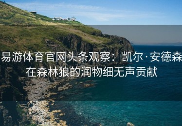易游体育官网头条观察：凯尔·安德森在森林狼的润物细无声贡献
