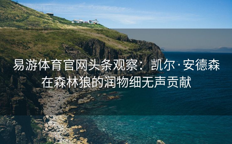 易游体育官网头条观察：凯尔·安德森在森林狼的润物细无声贡献