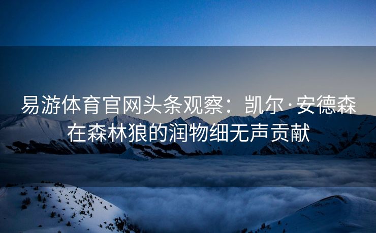 易游体育官网头条观察：凯尔·安德森在森林狼的润物细无声贡献