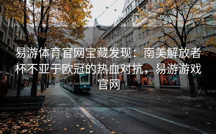 易游体育官网宝藏发现：南美解放者杯不亚于欧冠的热血对抗，易游游戏官网