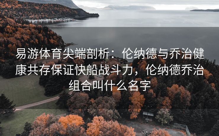 易游体育尖端剖析：伦纳德与乔治健康共存保证快船战斗力，伦纳德乔治组合叫什么名字