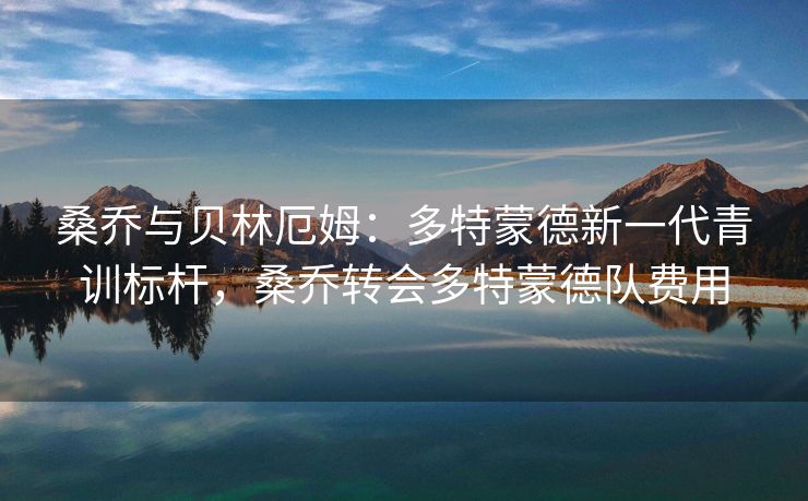 桑乔与贝林厄姆：多特蒙德新一代青训标杆，桑乔转会多特蒙德队费用