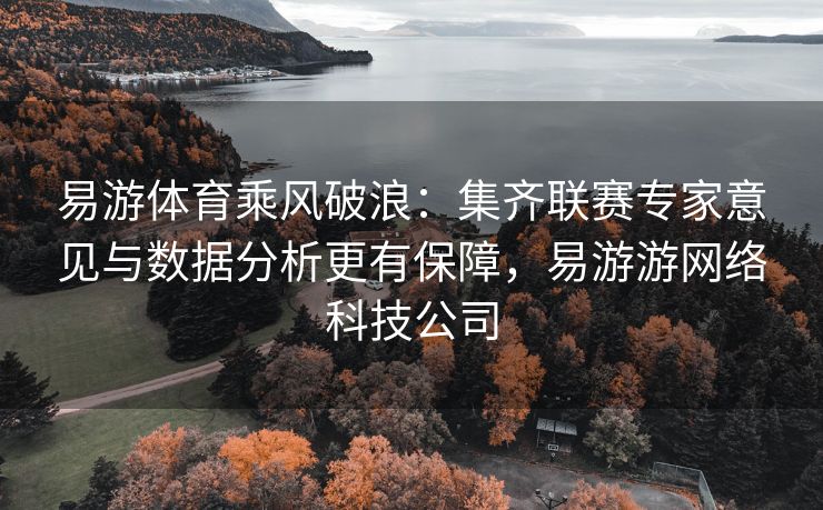 易游体育乘风破浪：集齐联赛专家意见与数据分析更有保障，易游游网络科技公司