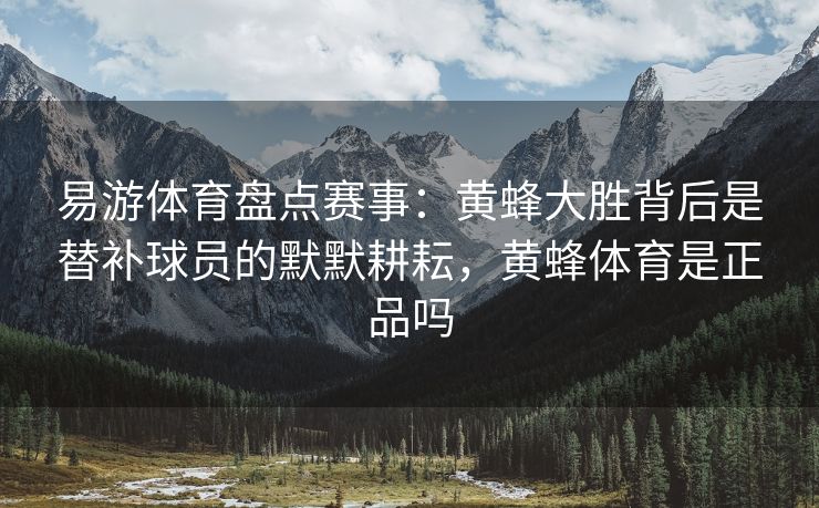 易游体育盘点赛事：黄蜂大胜背后是替补球员的默默耕耘，黄蜂体育是正品吗