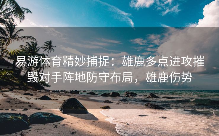 易游体育精妙捕捉：雄鹿多点进攻摧毁对手阵地防守布局，雄鹿伤势